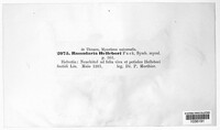 Image Associated With the Occurence